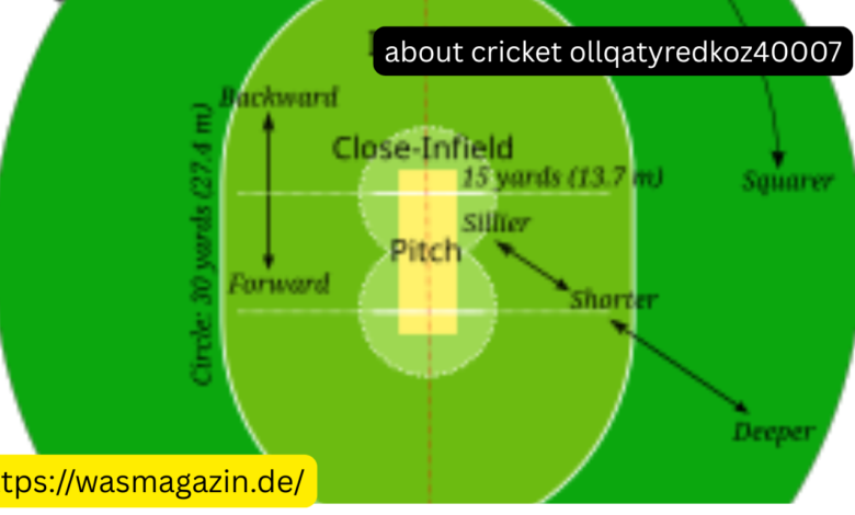 about cricket ollqatyredkoz40007