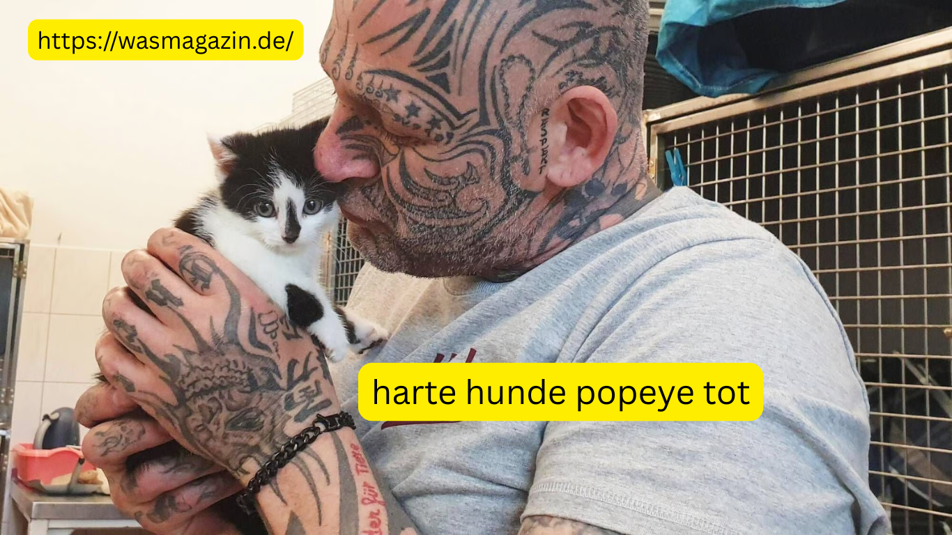 harte hunde popeye tot