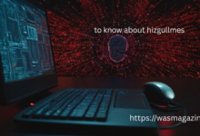 to know about hizgullmes
